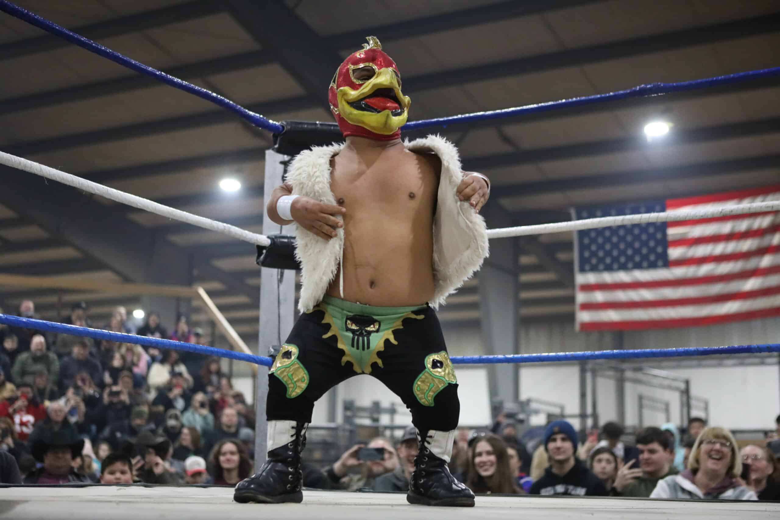 micro dwarf wrestling in texas 6