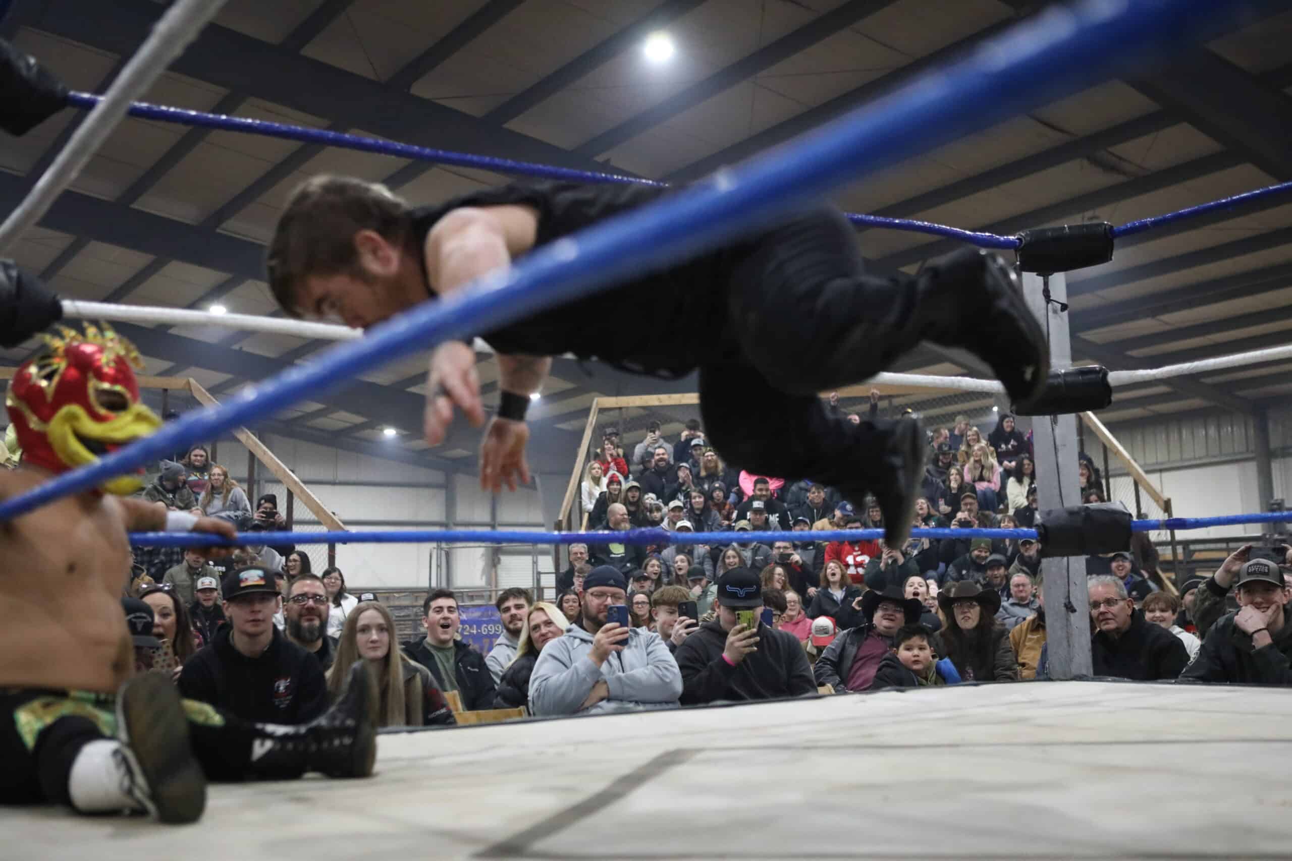 micro dwarf wrestling in texas 7