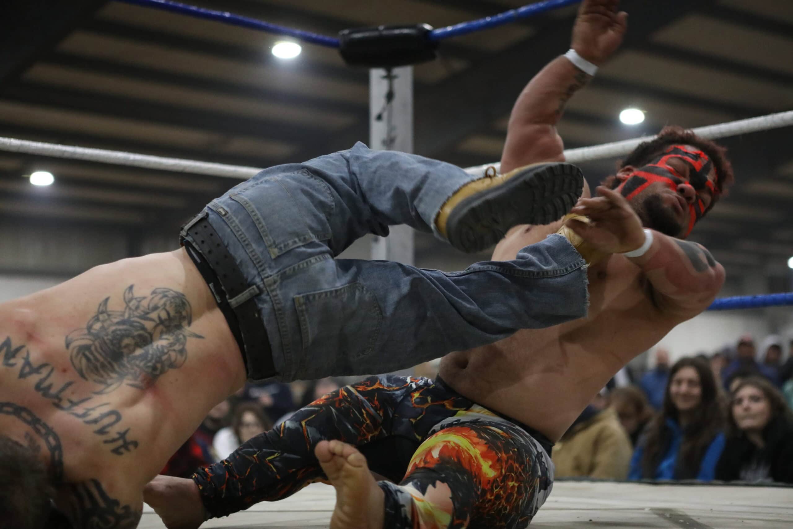 micro dwarf wrestling in texas